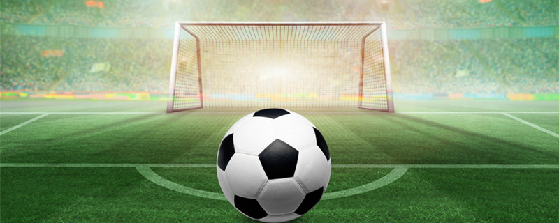 探索林诗栋 探索林诗栋